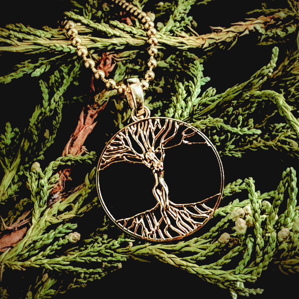 Resilience Medallion